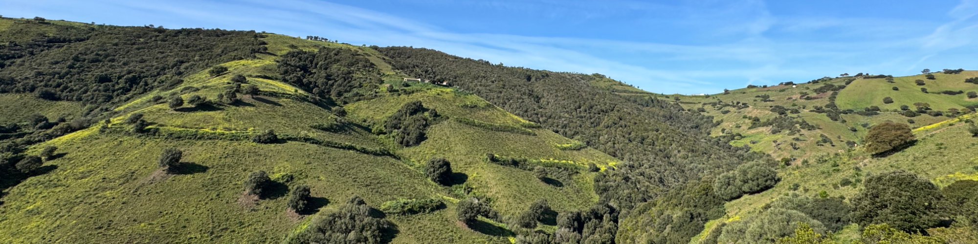 2000x500 collaborazioni